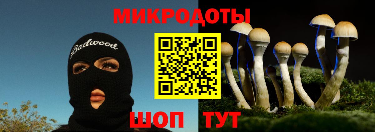 Ишимбай  Галлюциногенные грибы Psilocybine cubensis  Вход с VPN 